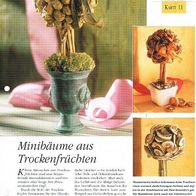 Minibäume aus Trockenfrüchten (Deko-K) - Infokarte über