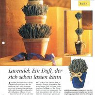 Lavendel: Ein Duft, der sich sehen lassen kann (Deko-K) - Infokarte über