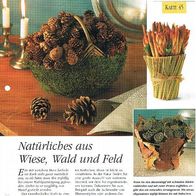 Natürliches aus Wiese, Wald und Feld (Deko-K) - Infokarte über