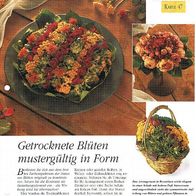 Getrocknete Blüten mustergültig in Form (Deko-K) - Infokarte über