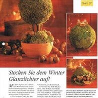 Stecken Sie dem Winter Glanzlichter auf! (Deko-K) - Infokarte über