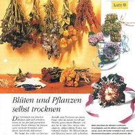 Blüten und Pflanzen selbst trocknen (Deko-K) - Infokarte über
