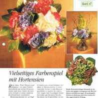 Vielseitiges Farbenspiel mit Hortensien (Deko-K) - Infokarte über