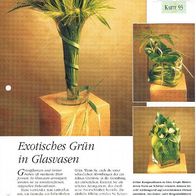 Exotisches Grün in Glasvasen (Deko-K) - Infokarte über
