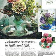 Dekorative Hortensien in Hülle und Fülle (Deko-K) - Infokarte über