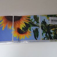 Sonnenblumen als Aufkleber Spritzschutz Fliesenaufkleber
