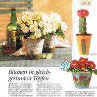 Blumen in gleichgesinnten Töpfen (Deko-K) - Infokarte über