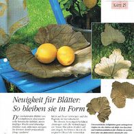 Neuigkeit für Blätter: So bleiben sie in Form (Deko-K) - Infokarte über
