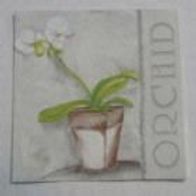 3 Servietten Orchid 118