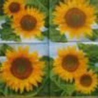 3 Servietten Helianthus 175