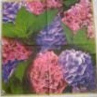 3 Servietten Hydrangea 183