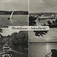 Werbellinsee - Schorfheide SW n. gel.(169)