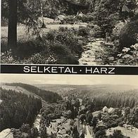 Selketal Harz SW gel. (388)