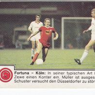 Panini Fussball 1980 Fortuna Düsseldorf - 1. FC Köln Nr 95