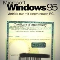 MS Window 95 PC Computer Literatur original Dachboden
