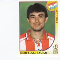 Panini Fussball WM 2002 Julio Cesar Enciso Paraguay Nr 146