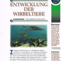 Entwicklung der Wirbeltiere (All-K) - Infokarte über