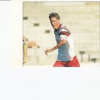 Panini Fussball 1996 Teilbild Spieler Hamburger SV Nr 345