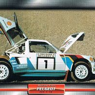 205 T 16 (Peugeot-1984) (PKW-K) - Hochglanzbild- und Infokarte (mit 3er Lochung)