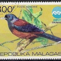 ztg Schöne Briefmarke mit Motiv Vogel, Madagaskar