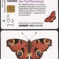 TK PD 51, PD 15, Tag-Pfauenauge, Schmetterling