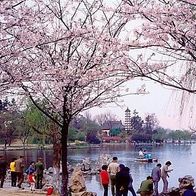 China 1994 - Nanjing - Xuanwu Lake, AK 527 Ansichtskarte Postkarte