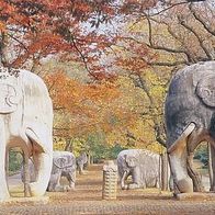 China 1994 - Nanjing - Sacred Avenue, AK 532 Ansichtskarte Postkarte