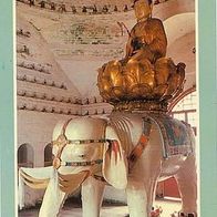 China 1994 - Shan Emei PuxianSamantabhadra on Elephant AK 464 Ansichtskarte Postkarte