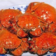 China 1994 - Shanghai Crab, AK 565 Ansichtskarte Postkarte