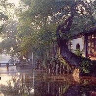 China 1994 Suzhou Garden A clear stream in Canglangting AK 442 Ansichtskarte Postkart