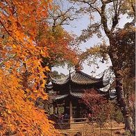 China 1994 - Suzhou Garden Ancient Maple Tree, AK 449 Ansichtskarte Postkarte