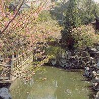 China 1994 - Suzhou Garden - Shizilin, AK 450 Ansichtskarte Postkarte