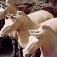 China 1994 - Xi´an - Terracotta Horse, AK 376 Ansichtskarte Postkarte