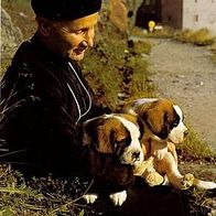 Schweiz 1975 - Chanoine du Grand Saint Bernard, AK 89 Ansichtskarte Postkarte