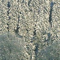Lesezeichen Winterwald mit Haus, 16 x 5,3 cm