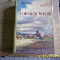 Ax Ajax - Lockende Weide