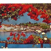 Italien 1960er Jahre - Isola Bella Lago Maggiore, AK 989 Ansichtskarte Postkarte