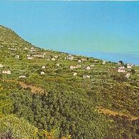 Israel 1980er Jahre - Amirim Vegetarian´s Village, AK 266 Ansichtskarte Postkarte