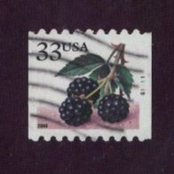 USA 2000 Früchte Mi.3333 Pl.-Nr.G 1111 gest.