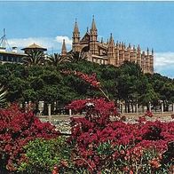 Spanien 1960 - Mallorca Palma La Catedral, AK 181 Ansichtskarte Postkarte