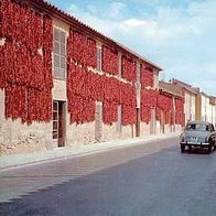 Spanien 1960er Jahre - Mallorca - Santa Maria, AK 186 Ansichtskarte Postkarte