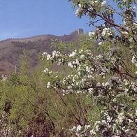 China 1994 - Scenery of the Great Wall at Badaling, AK 475 Ansichtskarte Postkarte