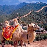 China 1994 - Scenery of the Great Wall at Badaling, AK 483 Ansichtskarte Postkarte