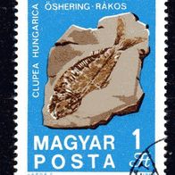 ro 1131 Ungarn Mi. Nr. 2522 o