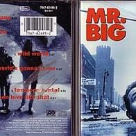 Mr. Big --- bump ahead