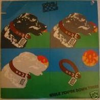 Stray Dog - while you`re down there - LP - 1974 - US