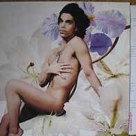 Prince - lovesexy - LP - 1988
