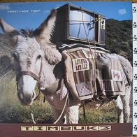 Timbuk 3 - greetings from - LP - 1986