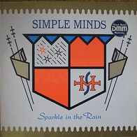 Simple Minds - sparkle in the rain - LP - 1984