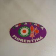 Aufkleber Coppa Italia Fiorentina (AC Florenz) (gebraucht neuwertig)
